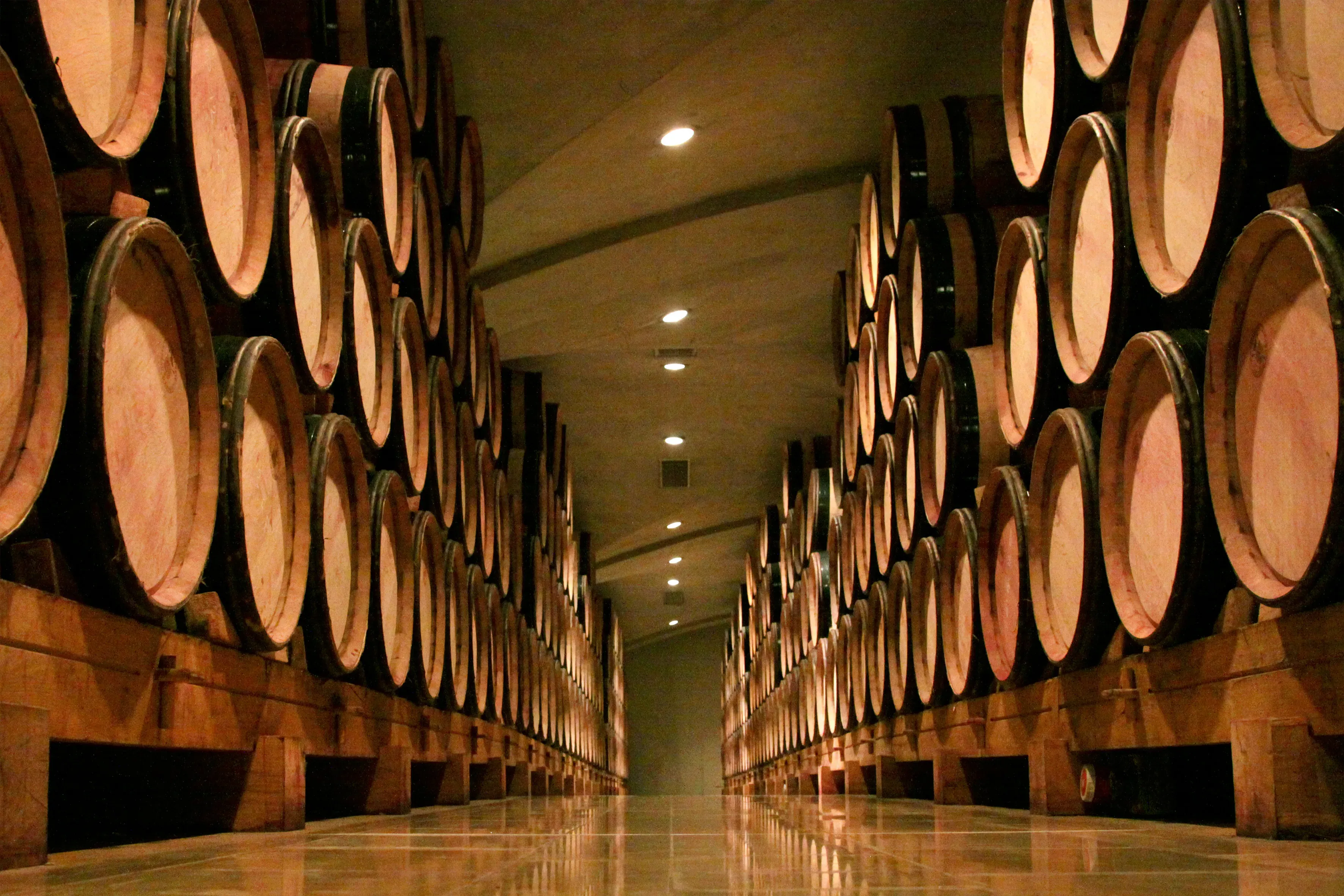 Storage of the barrels of the Domaine E.Guigal. Storage of the barrels of the Domaine E.Guigal.
